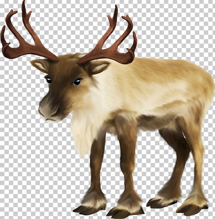 Santa Claus Village Rudolph Reindeer Sled PNG, Clipart, Animals, Antler, Christmas, Deer, Elk Free PNG Download