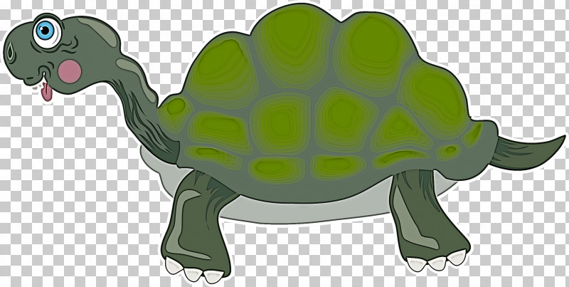 Tortoise Turtles Sea Turtles Tortoise M Snout PNG, Clipart, Character, Sea, Sea Turtles, Snout, Tortoise Free PNG Download