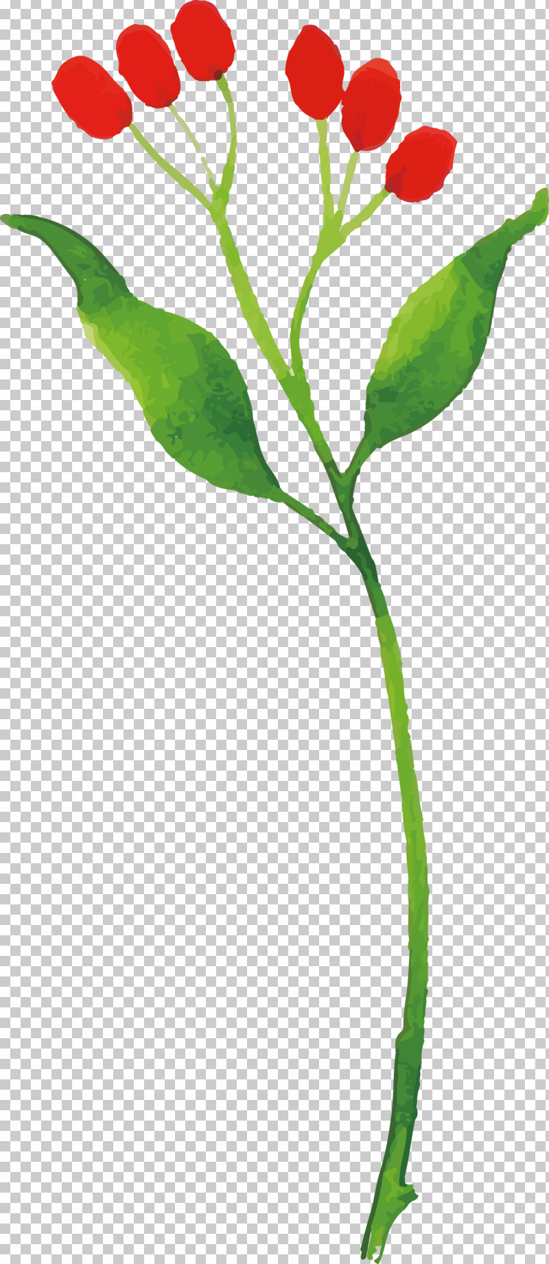 Cut Flowers Plant Stem Leaf Petal Flowerpot PNG, Clipart, Biology, Cut Flowers, Flower, Flowerpot, Leaf Free PNG Download