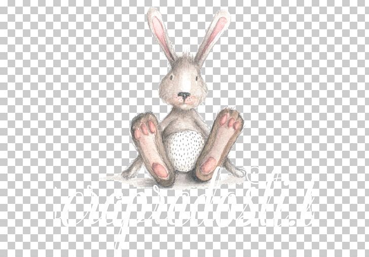 Baby Shower Rabbit Gift Gender Reveal Party PNG, Clipart, Animals, Birthday, Bunny Rabbit, Child, Domestic Rabbit Free PNG Download