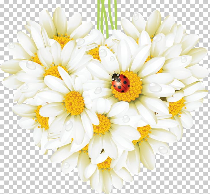 Common Daisy Flower Heart Beetle Ladybird PNG, Clipart, Bellis, Camomile, Chamaemelum Nobile, Chrysanths, Color Free PNG Download
