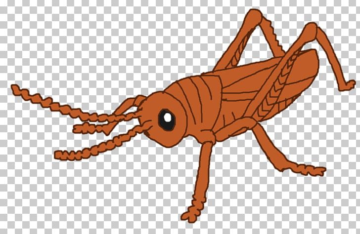 Insect Pest Cricket Animal PNG, Clipart, Animal, Animal Figure, Animals, Arthropod, Cricket Free PNG Download