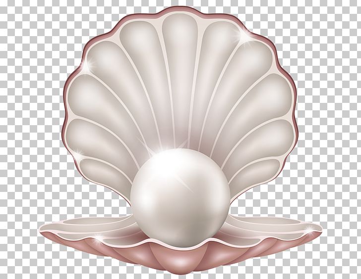 Pearl Jewellery Icon PNG, Clipart, Clam, Flower, Free, Icon, Jewellery Free PNG Download