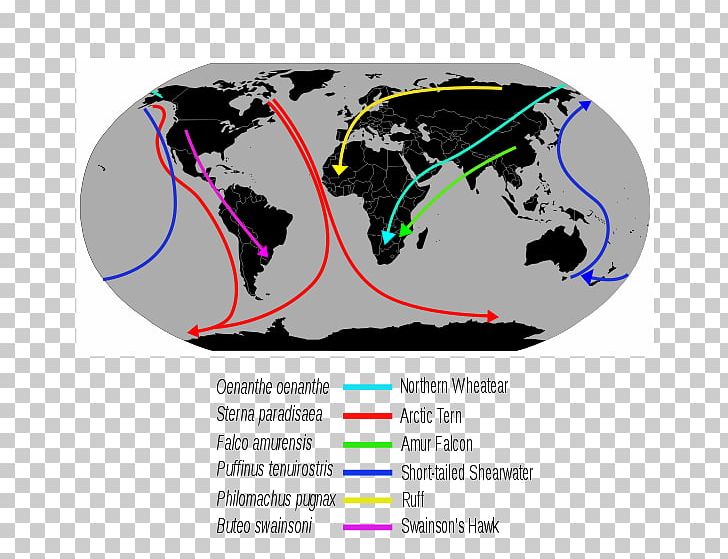 World Map The World Political PNG, Clipart, Aristotle, Atlas, Border, Brand, Country Free PNG Download