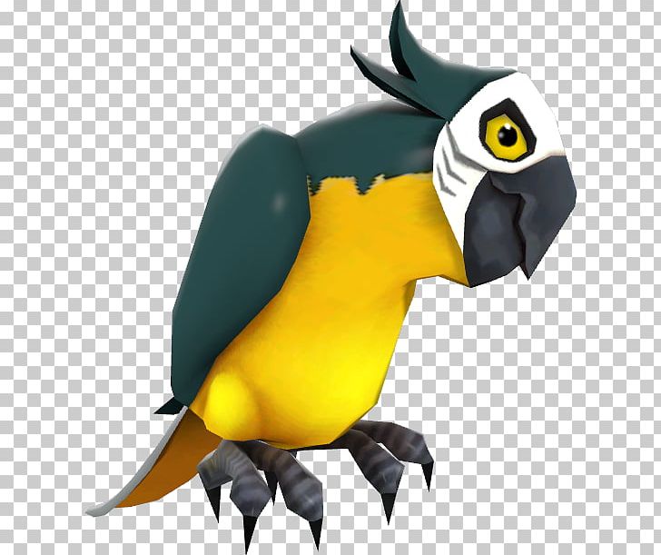 Macaw Beak Fauna Toucan Cartoon PNG, Clipart, Aberdeen, Beak, Bird, Cartoon, Fauna Free PNG Download