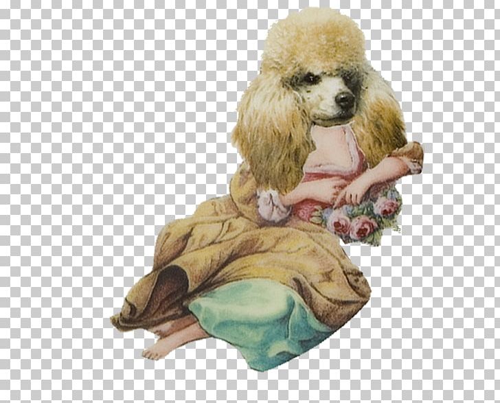 Poodle Puppy Dog Breed Companion Dog Non-sporting Group PNG, Clipart, 1 August, Animals, Breed, Carnivoran, Clothing Free PNG Download
