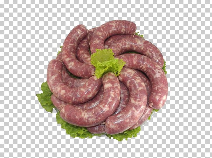Thuringian Sausage Bratwurst Chistorra Liverwurst Weisswurst PNG, Clipart, Andouille, Animal Source Foods, Beef, Boerewors, Bologna Sausage Free PNG Download