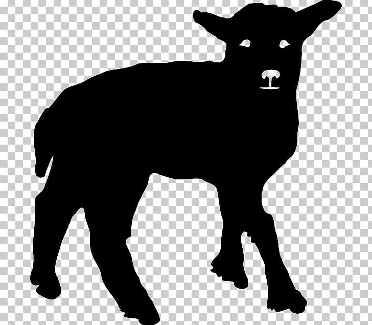 Welsh Mountain Sheep Boer Goat Texel Sheep Cattle PNG, Clipart, Animals, Bighorn Sheep, Black, Black And White, Black Sheep Free PNG Download