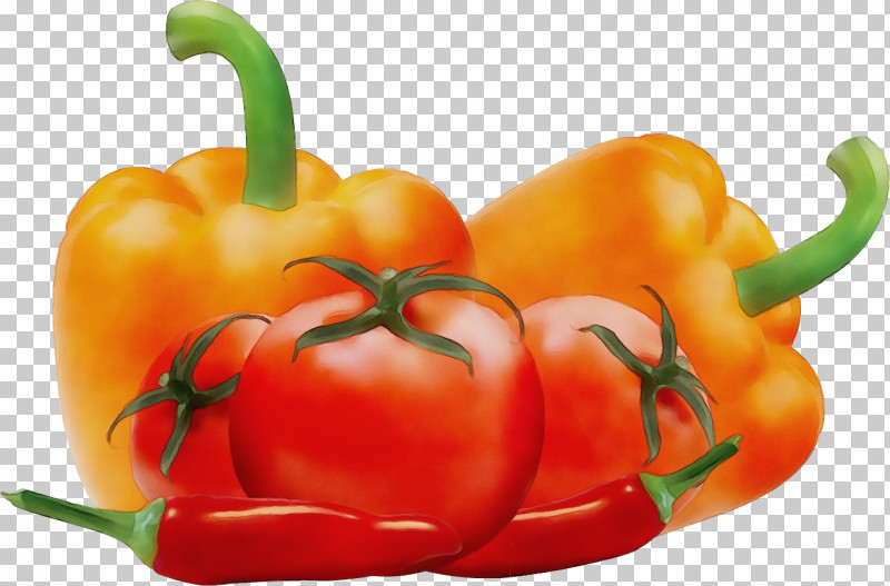 Habanero Cayenne Pepper Serrano Pepper Yellow Pepper Tabasco Pepper PNG, Clipart, Bell Pepper, Cayenne Pepper, Chili Pepper, Habanero, Malagueta Pepper Free PNG Download