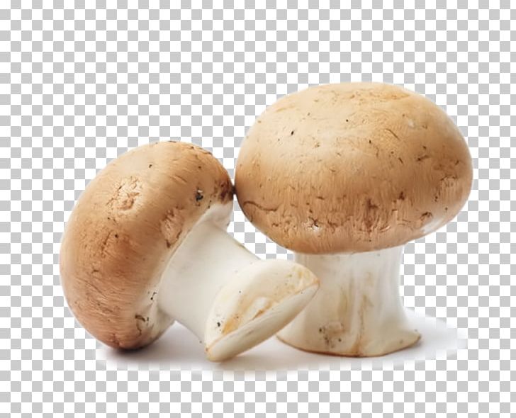 Common Mushroom Edible Mushroom Food Fungus PNG, Clipart, Agaricaceae, Agaricomycetes, Agaricus, Boletus Edulis, Champignon Mushroom Free PNG Download