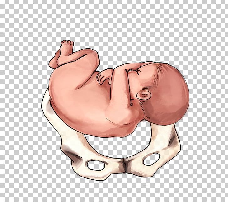Natural Childbirth Infant Home Birth PNG, Clipart, Arm, Baby, Caesarean Section, Cervix, Cheek Free PNG Download