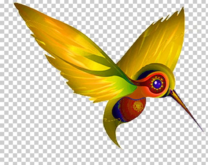 Hummingbird Beak Feather Insect PNG, Clipart, Beak, Bird, Customer, Feather, Humming Free PNG Download