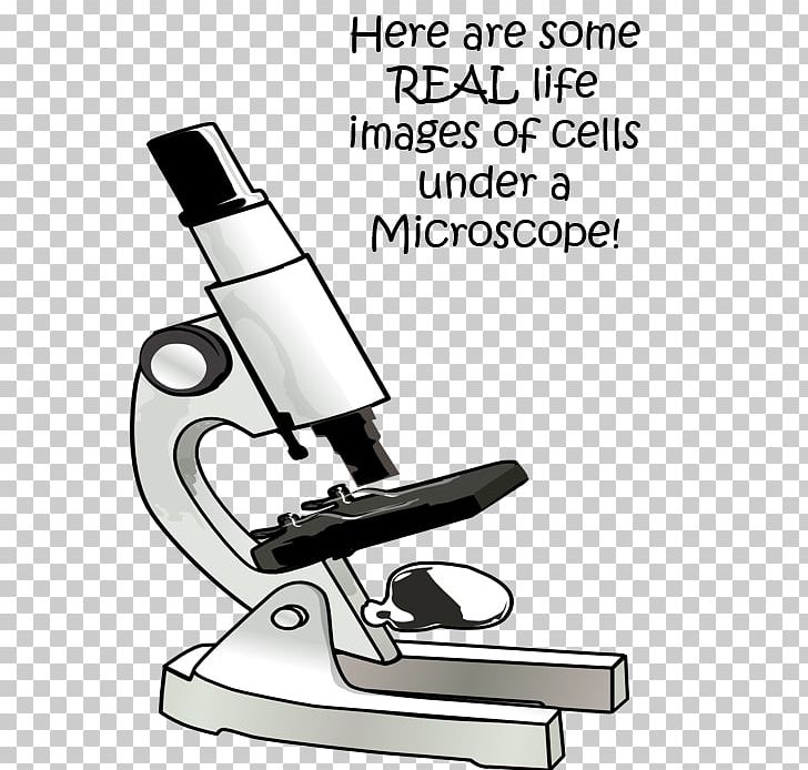 Microscope Laboratory Science Cell Echipament De Laborator PNG, Clipart, Angle, Biology, Black And White, Blood Cell, Chair Free PNG Download