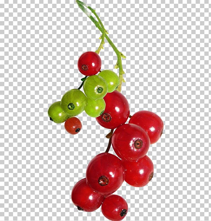 Portable Network Graphics Berries Fruit PNG, Clipart, Accessory Fruit, Berries, Berry, Blackcurrant, Cherry Free PNG Download