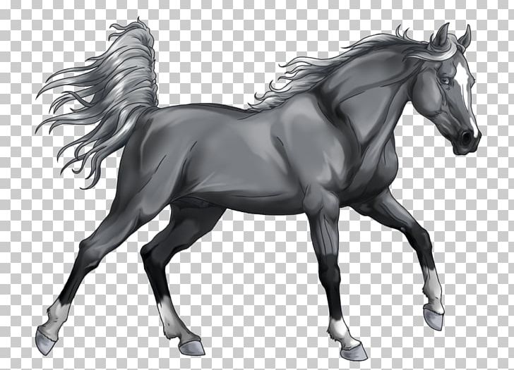 Stallion Arabian Horse Mongolian Horse Grayscale Mustang PNG, Clipart, Art, Bit, Black And White, Bridle, Col Free PNG Download