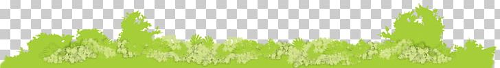 Wheatgrass Lawn Energy Grassland Desktop PNG, Clipart, Bgr, Biodiversity, Closeup, Closeup, Commodity Free PNG Download