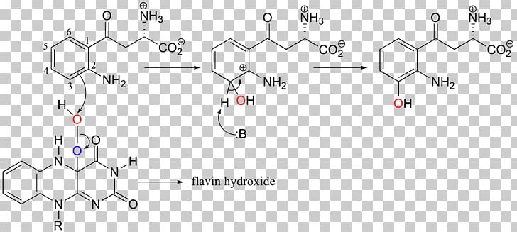 Antidepressant Fructose Chemistry Chemical Formula Fluoxetine PNG, Clipart, Angle, Antidepressant, Area, Auto Part, Chemical Compound Free PNG Download