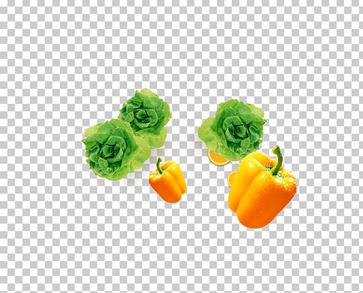 Bell Pepper Vegetable Chili Pepper Cabbage PNG, Clipart, Bell Pepper, Black Pepper, Cabbage, Cabbage Soup, Capsicum Free PNG Download