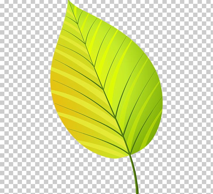 Green Leaf PNG, Clipart, Adobe Illustrator, Angle, Artworks, Autumn, Autumn Elements Free PNG Download