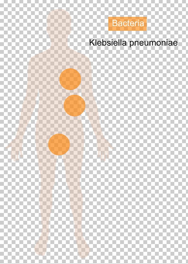 Klebsiella Pneumoniae Klebsiella Oxytoca Bacteria Disease Streptococcus Pneumoniae PNG, Clipart, Abdomen, Arm, Bacteria, Bacterias, Chest Free PNG Download