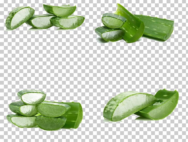 Aloe Vera Aloin Gel Leaf Skin PNG, Clipart, Aloe, Aloe Vera, Aloe Vera Pulp 12 0 1, Aloin, Cut Free PNG Download