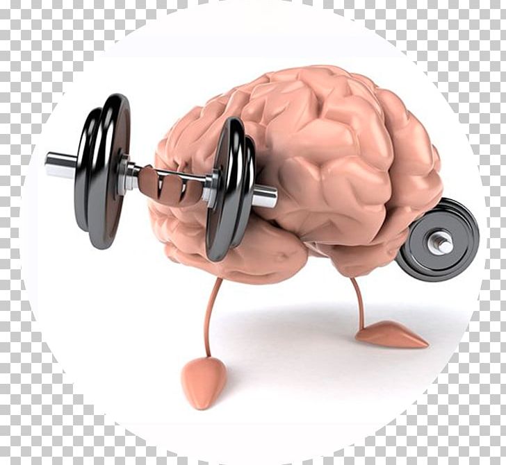 Brain Muscle Mind Physical Strength Health PNG, Clipart, Brain, Cognitive Science, Cognitive Training, Exercise, Health Free PNG Download
