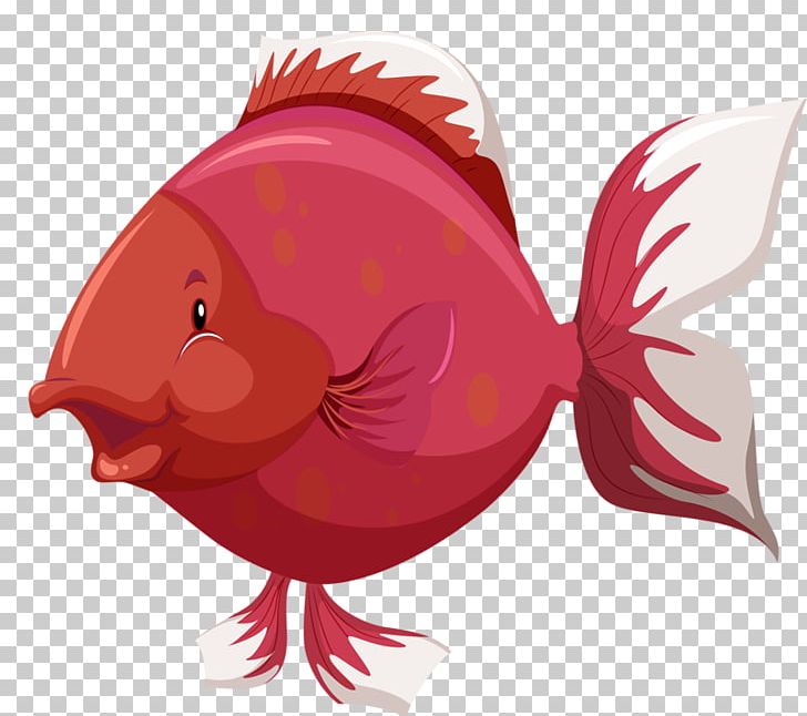 Fish Anatomy PNG, Clipart, Animals, Animation, Aquatic Animal, Bird, Chicken Free PNG Download