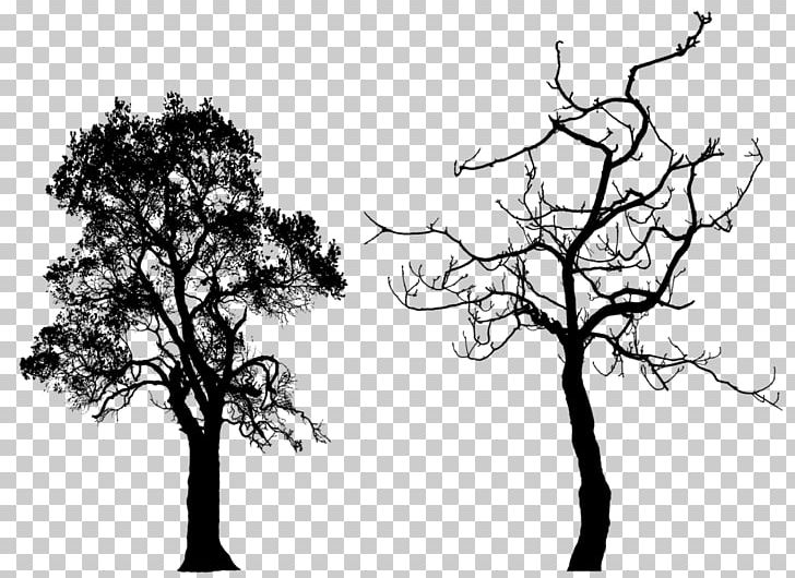 Tree Silhouette PNG, Clipart, Arecaceae, Art, Black And White, Branch, Computer Wallpaper Free PNG Download