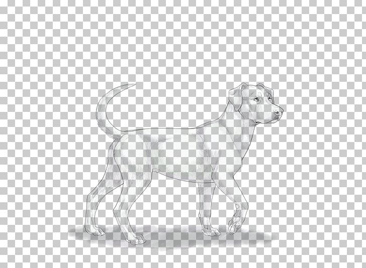 Dog Breed Catahoula Cur Puppy Pembroke Welsh Corgi American Leopard Hound PNG, Clipart, American Leopard Hound, Animals, Black And White, Breed, Carnivoran Free PNG Download