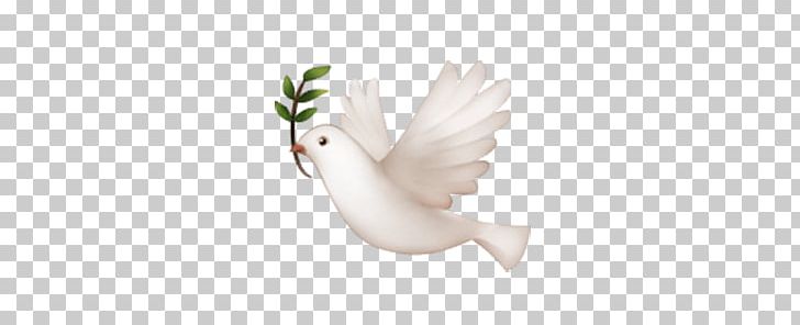 Emoji Peace Symbols Doves As Symbols IPhone Columbidae PNG, Clipart, Beak, Bird, Columbidae, Dove, Doves As Symbols Free PNG Download