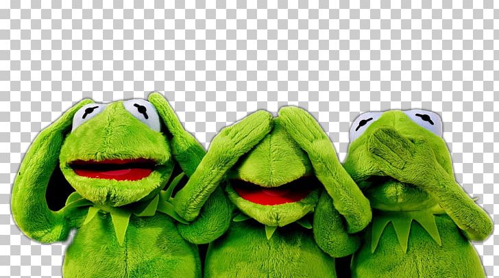 Kermit The Frog Desktop Sales PNG, Clipart, 169, Amphibian, Desktop Wallpaper, Digital Marketing, Frog Free PNG Download