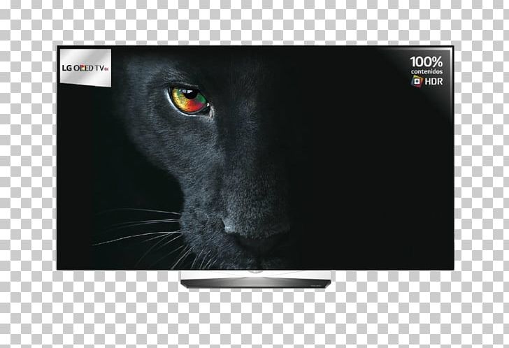 LG OLED-E7 4K Resolution Ultra-high-definition Television Smart TV PNG, Clipart, 4k Ultra Hd, Brand, Cat, Cat Like Mammal, Display Device Free PNG Download