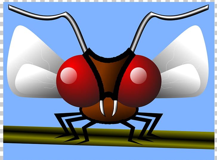 Mosquito Insect Gnat PNG, Clipart, Aedes Albopictus, Cartoon, Fly, Gnat, Insect Free PNG Download