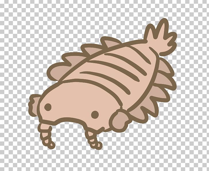 8564 Anomalocaris Illustrator Drawing PNG, Clipart, Anomalocaris, Carnivora, Carnivoran, Drawing, Fauna Free PNG Download
