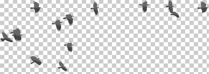 Bird Migration Line White Font PNG, Clipart, Animal Migration, Bird, Bird Migration, Black And White, Flock Free PNG Download