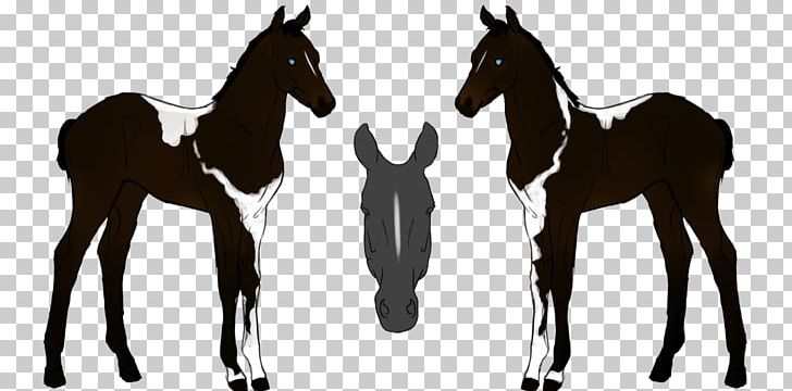 Foal Mustang Colt Stallion Mare PNG, Clipart,  Free PNG Download