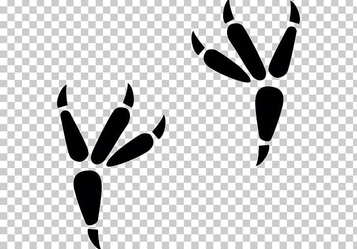 Footprint Computer Icons Falcon Animal PNG, Clipart, Animal, Animals, Animal Track, Black, Black And White Free PNG Download