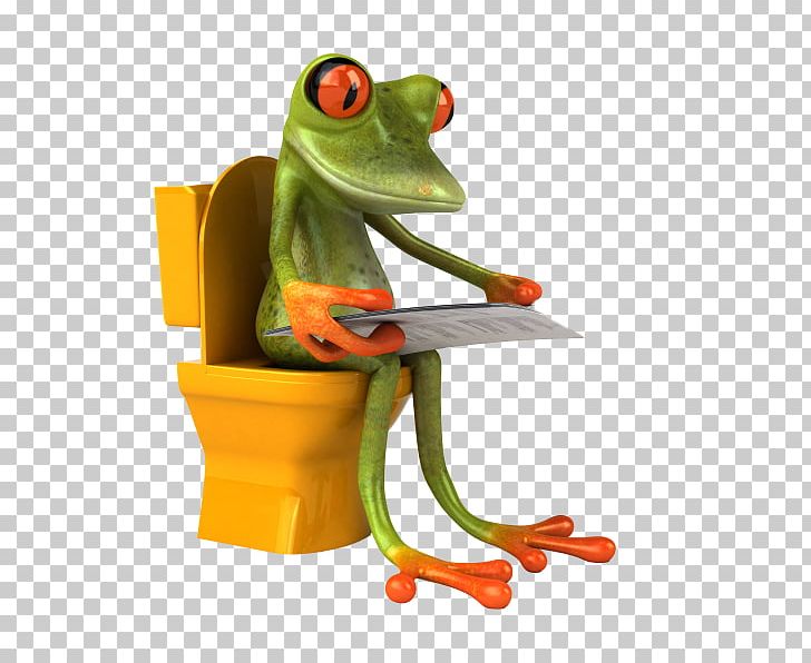 Toilet & Bidet Seats Frog Bathroom Paper PNG, Clipart, Amphibian, Animals, Bathroom, Bowl, Flush Toilet Free PNG Download