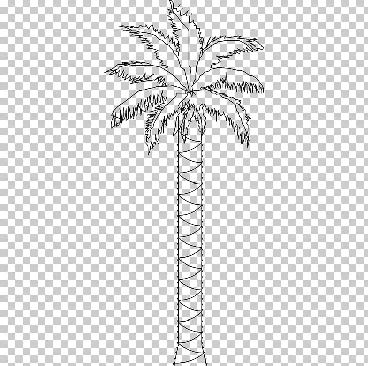Twig Arecaceae Date Palm Plant Stem Leaf PNG, Clipart, Arecaceae, Arecales, Black And White, Branch, Date Palm Free PNG Download