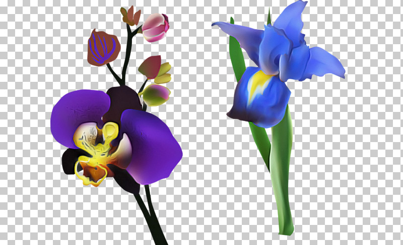 Lavender PNG, Clipart, Biology, Cut Flowers, Flower, Iris, Lavender Free PNG Download
