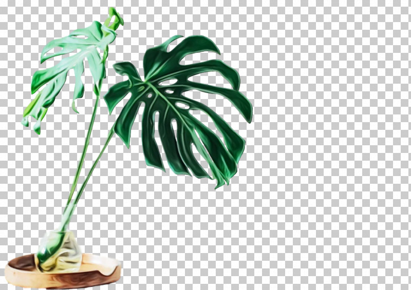 Palm Trees PNG, Clipart, Arecales, Biology, Flower, Flowerpot, Leaf Free PNG Download