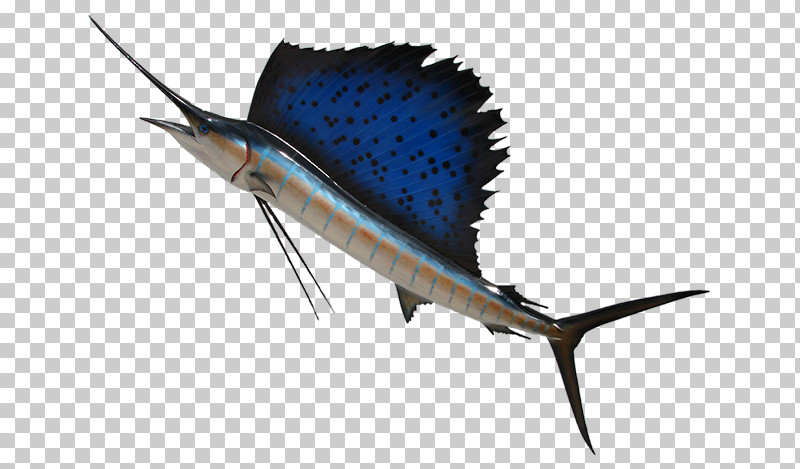 Swordfish Sailfish Atlantic Blue Marlin Marlin Fish PNG, Clipart, Atlantic Blue Marlin, Bonyfish, Fish, Marlin, Sailfish Free PNG Download