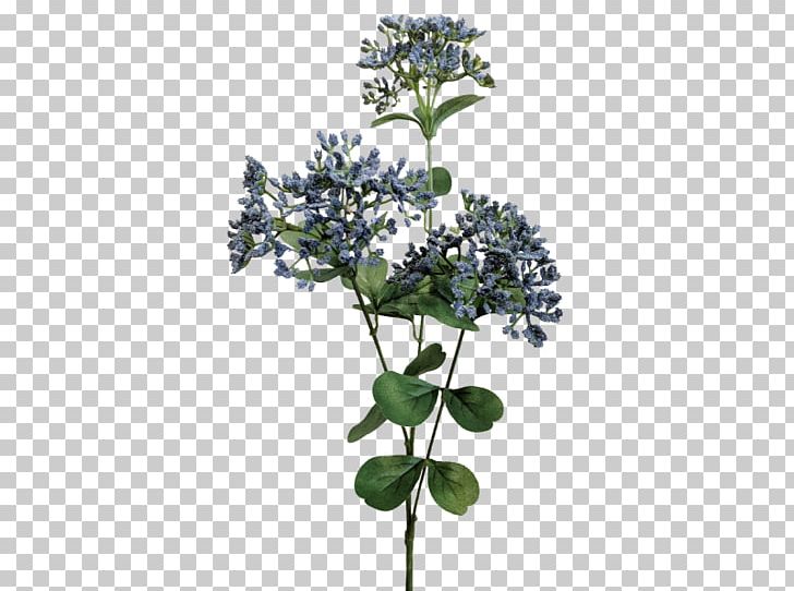 Cut Flowers Yarrow Plant Stem Flower Bouquet PNG, Clipart,  Free PNG Download