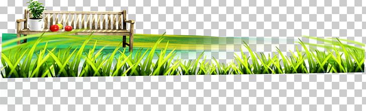 Lawn Wheatgrass Energy PNG, Clipart, Artificial Grass, Brand, Cartoon Grass, Creative Grass, Energy Free PNG Download