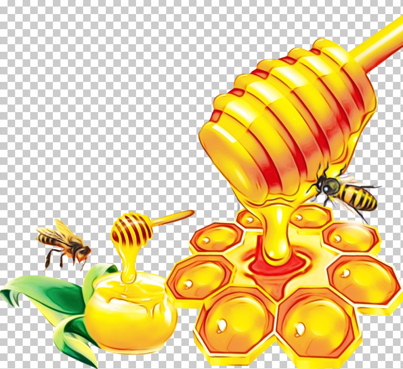 Insects Honey Bee Bees Pollinator Honey PNG, Clipart, Bees, Biology, Honey, Honey Bee, Insects Free PNG Download