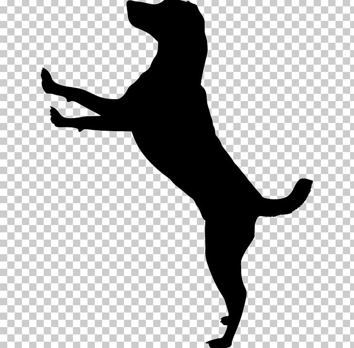 Cat Pet Silhouette Jack Russell Terrier Puppy PNG, Clipart, Black, Black And White, Carnivoran, Cat, Cat Like Mammal Free PNG Download