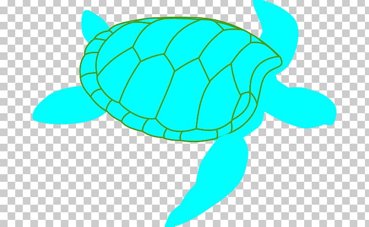 Green Sea Turtle Leatherback Sea Turtle PNG, Clipart, Aqua, Artwork, Fish, Free Content, Green Free PNG Download