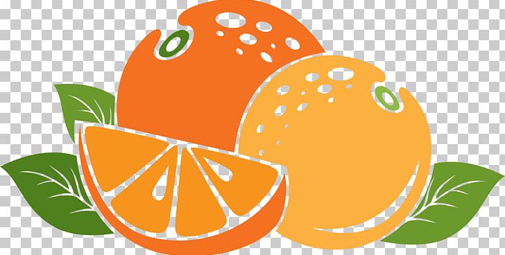 Mandarin Orange App Store Auglis PNG, Clipart, App Store, Cartoon, Cartoon Character, Cartoon Eyes, Citrus Free PNG Download