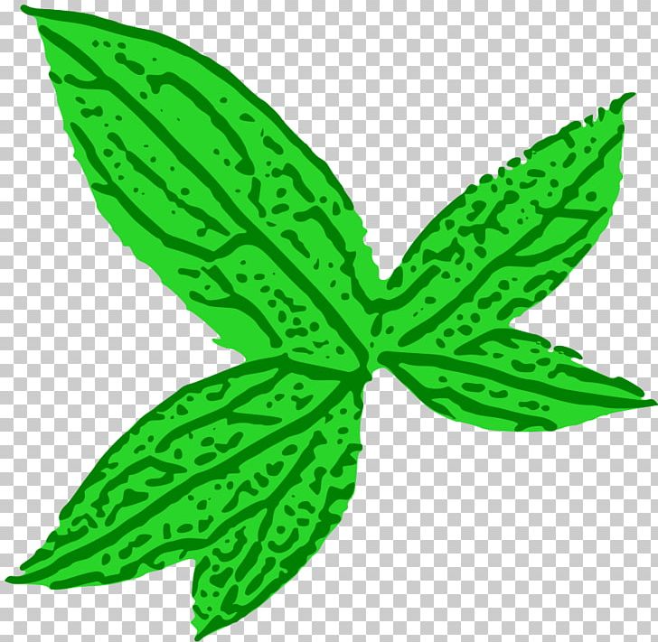 Leaf PNG, Clipart, Computer Icons, Desktop Wallpaper, Download, Drawing, Food Drinks Free PNG Download