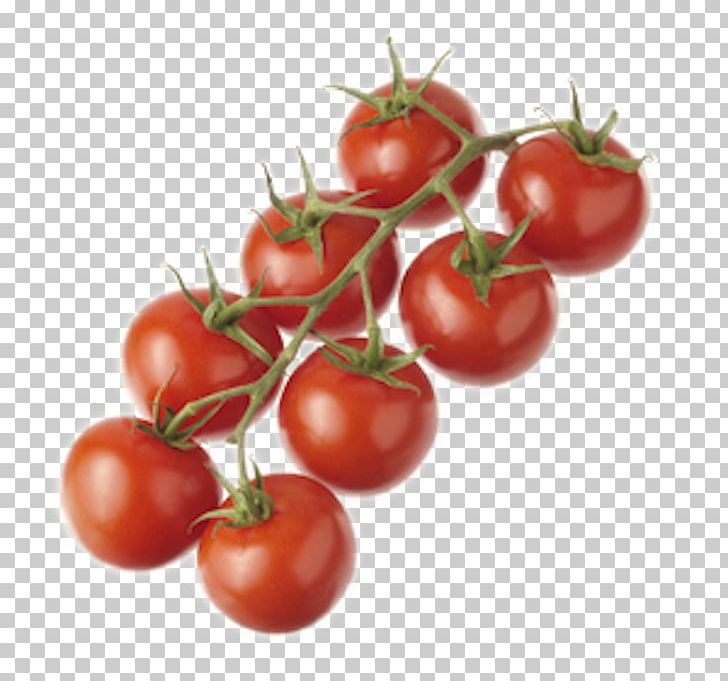 Plum Tomato Cocktail Bush Tomato Cherry Tomato Tomate PNG, Clipart, Bush Tomato, Cherry, Cherry Tomato, Cocktail, Diet Food Free PNG Download